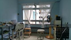 Blk 217 Pasir Ris Street 21 (Pasir Ris), HDB Executive #133812662